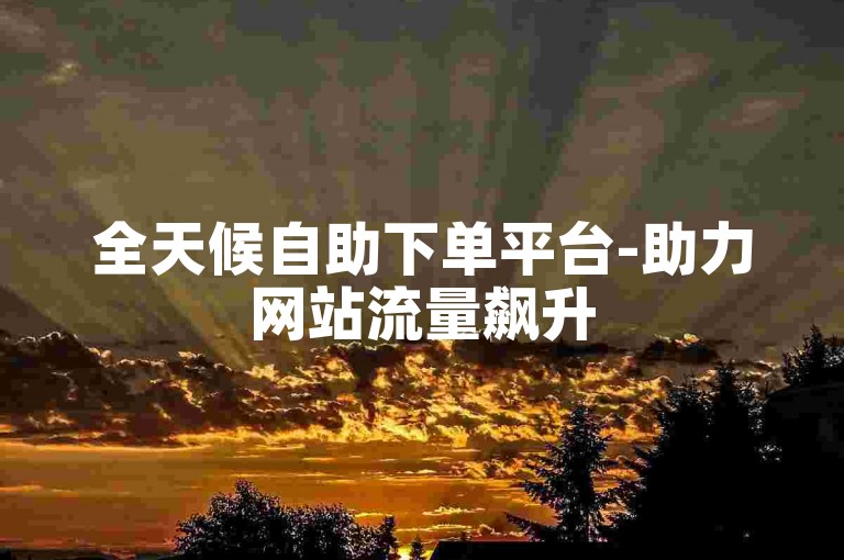 全天候自助下单平台-助力网站流量飙升