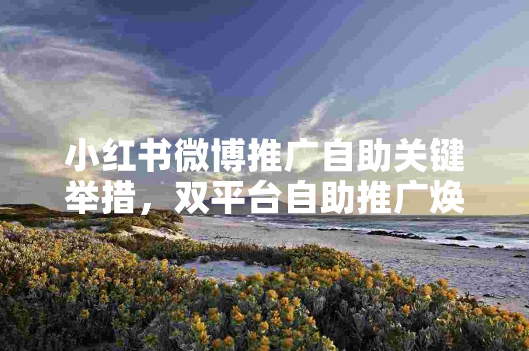 小红书微博推广自助关键举措，双平台自助推广焕新升级畅体验！新手福音！-