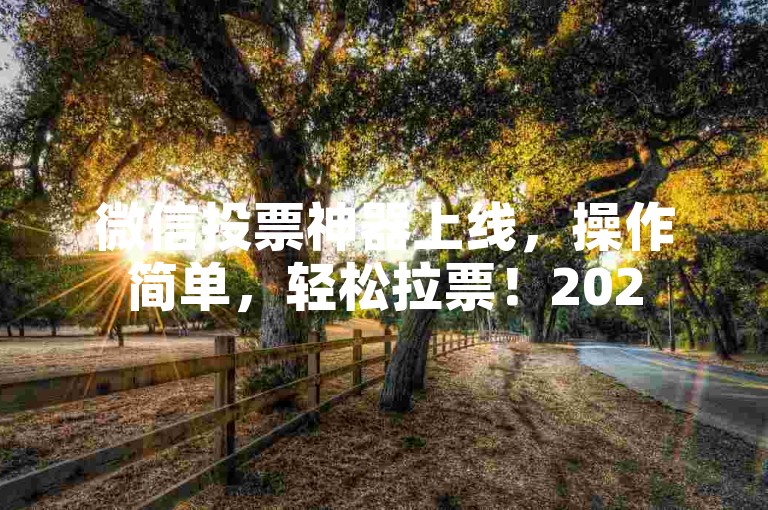 微信投票神器上线，操作简单，轻松拉票！2025热门之选 - wx 卡盟全新推出！