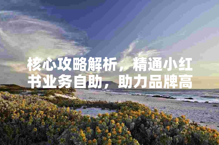 核心攻略解析，精通小红书业务自助，助力品牌高效推广