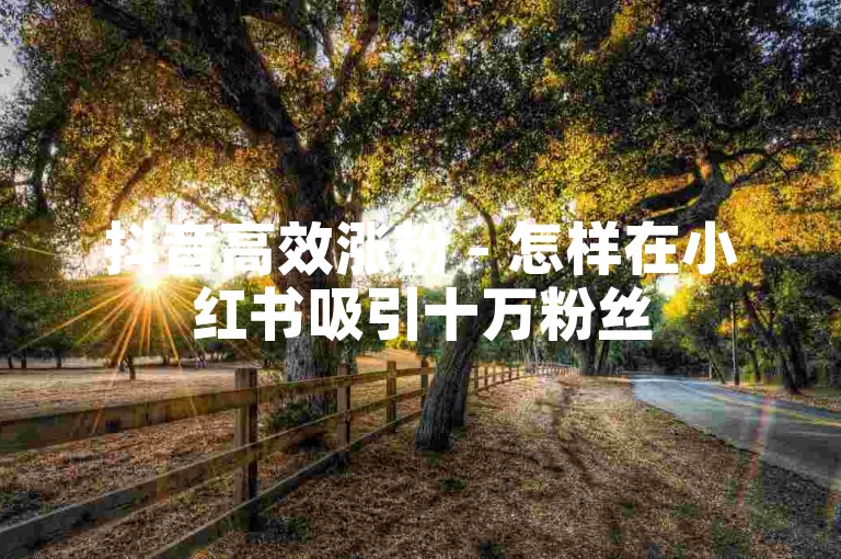 抖音高效涨粉 - 怎样在小红书吸引十万粉丝
