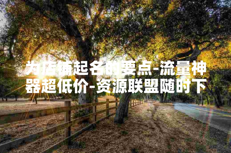 为店铺起名的要点-流量神器超低价-资源联盟随时下单-微信群扩人数平台