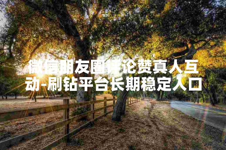 微信朋友圈评论赞真人互动-刷钻平台长期稳定入口联盟