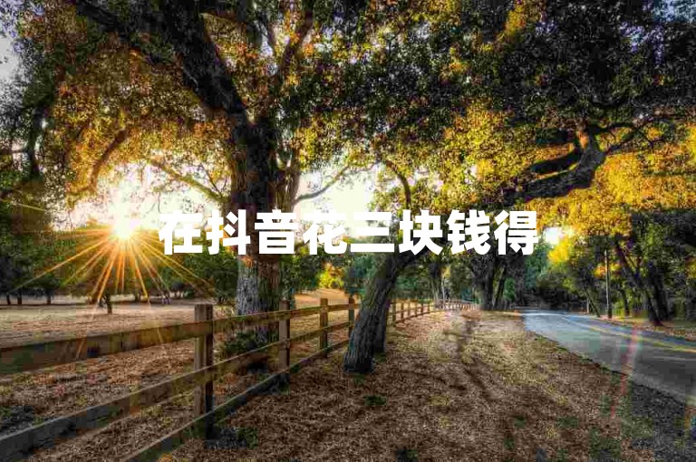 在抖音花三块钱得500粉，究竟有啥妙法？快来一探究竟！
