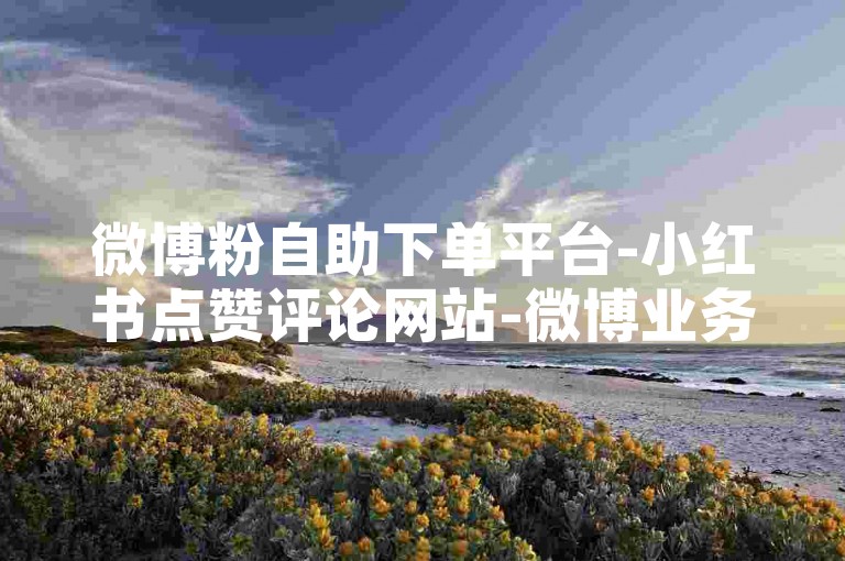 微博粉自助下单平台-小红书点赞评论网站-微博业务自助下单官网-全天低价自助服务