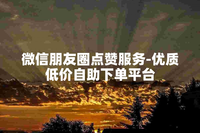微信朋友圈点赞服务-优质低价自助下单平台