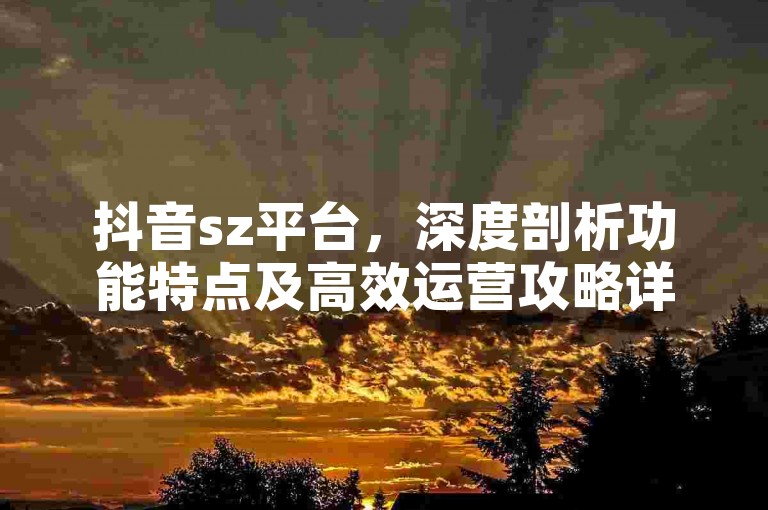 抖音sz平台，深度剖析功能特点及高效运营攻略详解