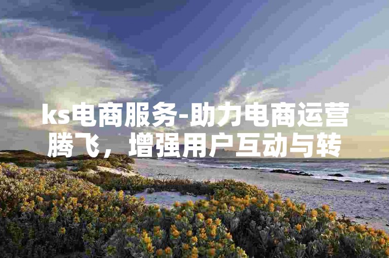ks电商服务-助力电商运营腾飞，增强用户互动与转化-ks涨粉-快手粉1元500再创辉煌！