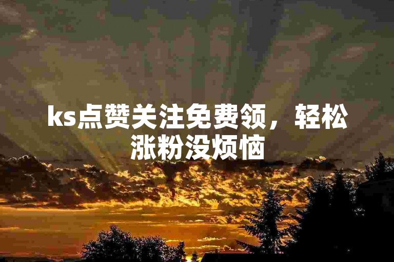 ks点赞关注免费领，轻松涨粉没烦恼