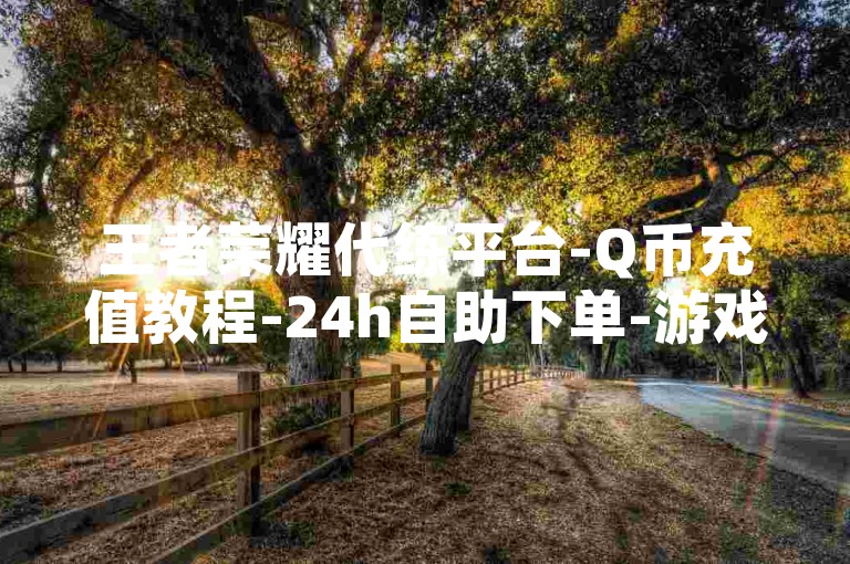 王者荣耀代练平台-Q币充值教程-24h自助下单-游戏辅助业务网