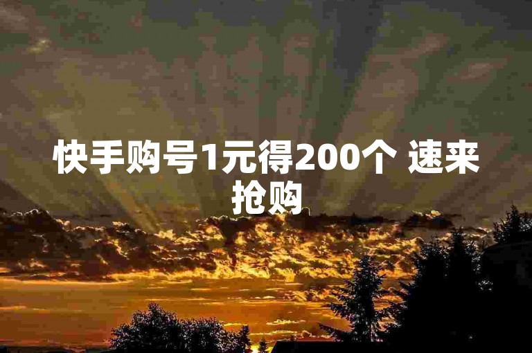 快手购号1元得200个 速来抢购