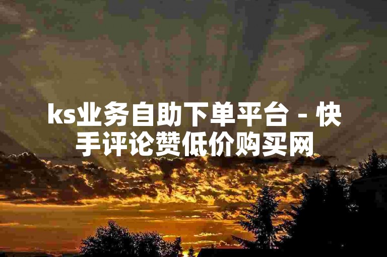ks业务自助下单平台 - 快手评论赞低价购买网