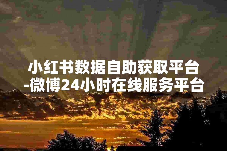 小红书数据自助获取平台-微博24小时在线服务平台