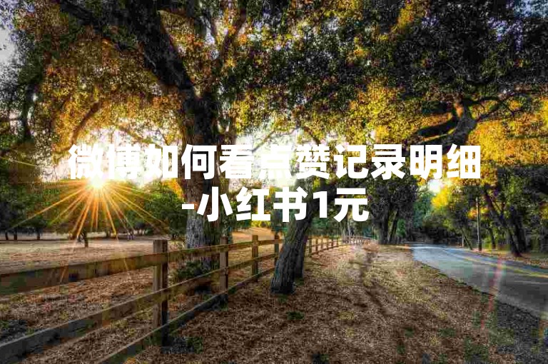 微博如何看点赞记录明细-小红书1元500赞软件安全下载