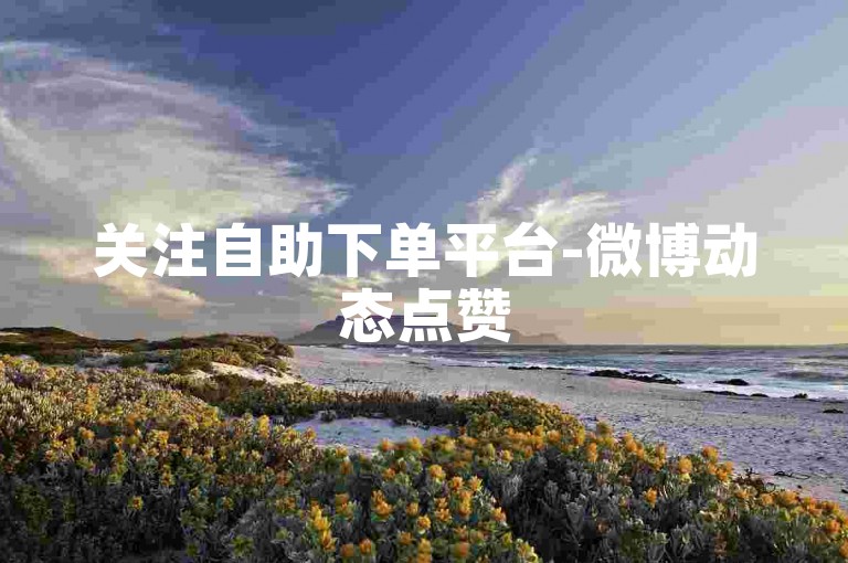 关注自助下单平台-微博动态点赞