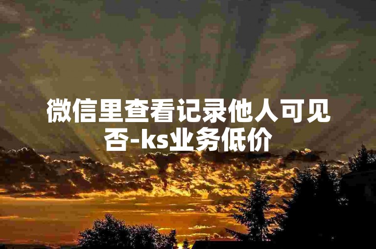微信里查看记录他人可见否-ks业务低价