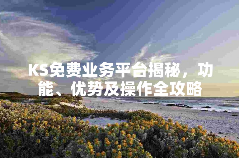 KS免费业务平台揭秘，功能、优势及操作全攻略