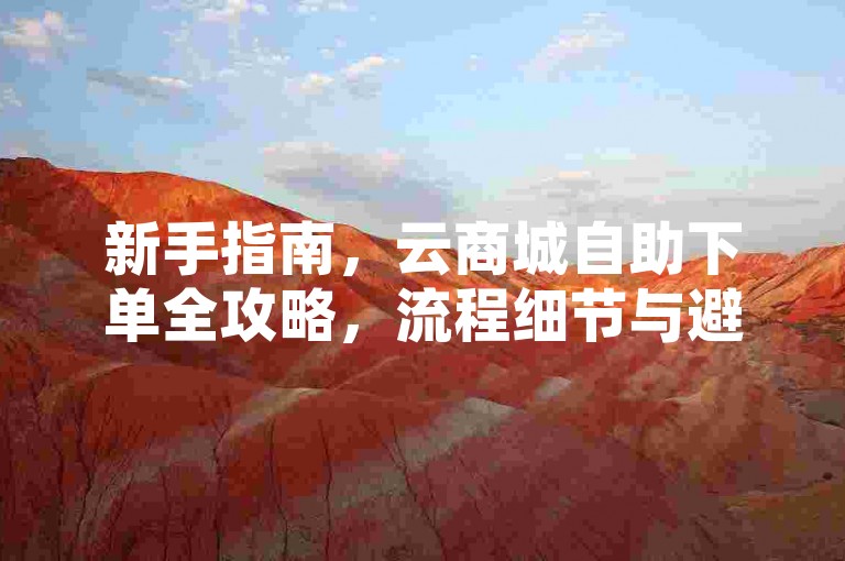 新手指南，云商城自助下单全攻略，流程细节与避坑要点详解