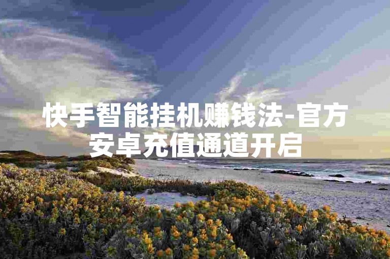 快手智能挂机赚钱法-官方安卓充值通道开启