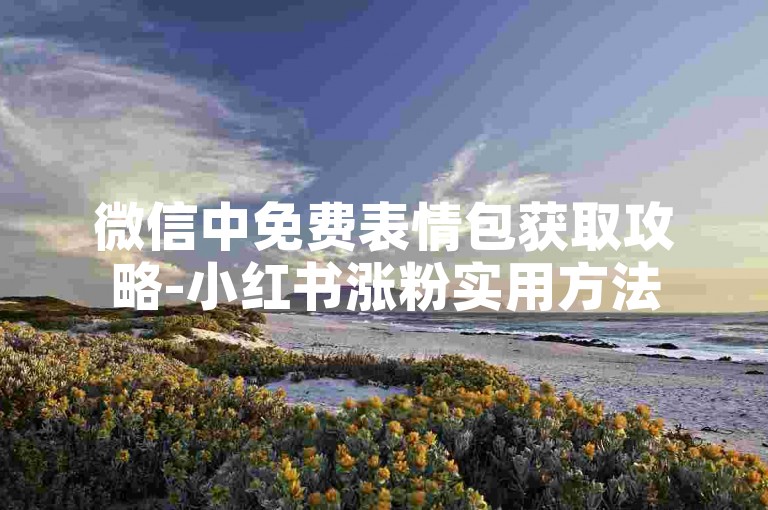 微信中免费表情包获取攻略-小红书涨粉实用方法