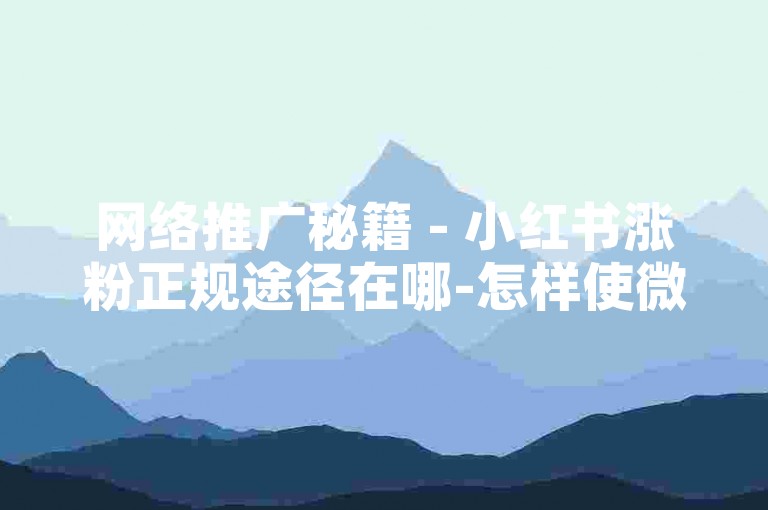 网络推广秘籍 - 小红书涨粉正规途径在哪-怎样使微博互动量破百万？