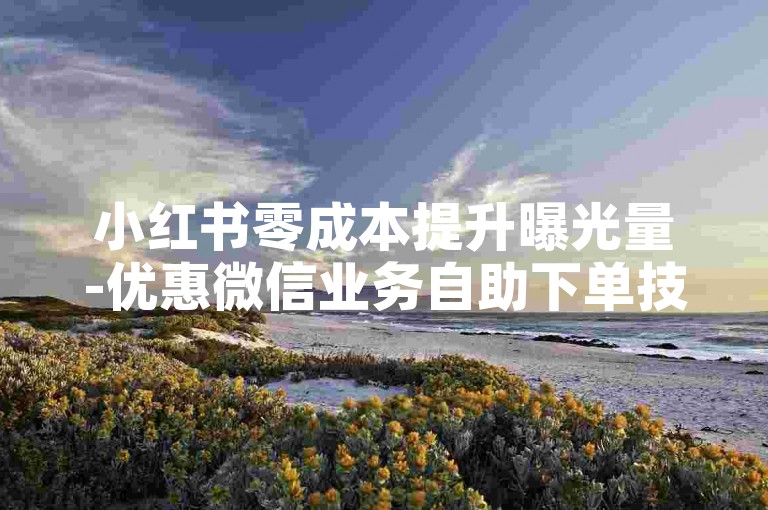 小红书零成本提升曝光量-优惠微信业务自助下单技巧