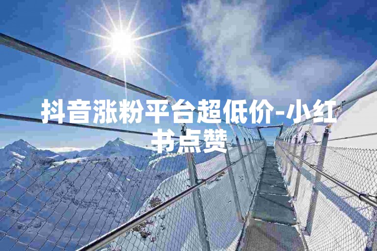 抖音涨粉平台超低价-小红书点赞5毛100个速刷工具