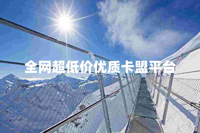 全网超低价优质卡盟平台