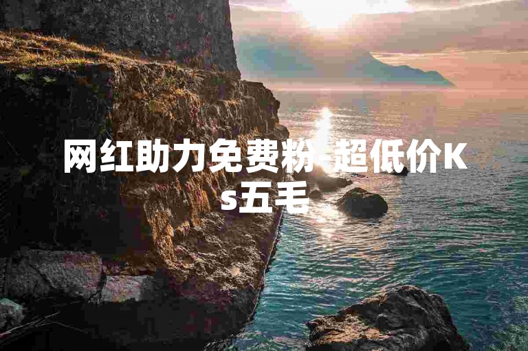 网红助力免费粉-超低价Ks五毛500赞-0.5元50赞平台ks-钻皇低价开通网