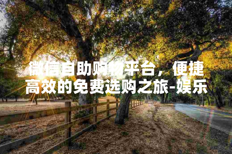 微信自助购物平台，便捷高效的免费选购之旅-娱乐会员批发源头好货