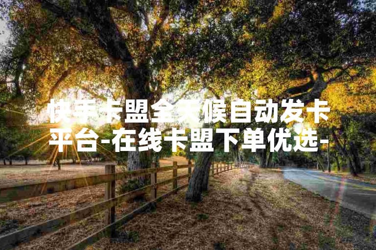 快手卡盟全天候自动发卡平台-在线卡盟下单优选-高效下单体验