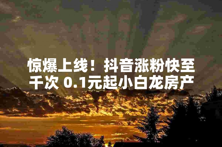 惊爆上线！抖音涨粉快至千次 0.1元起小白龙房产家居焕新潮