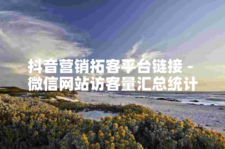 抖音营销拓客平台链接 - 微信网站访客量汇总统计