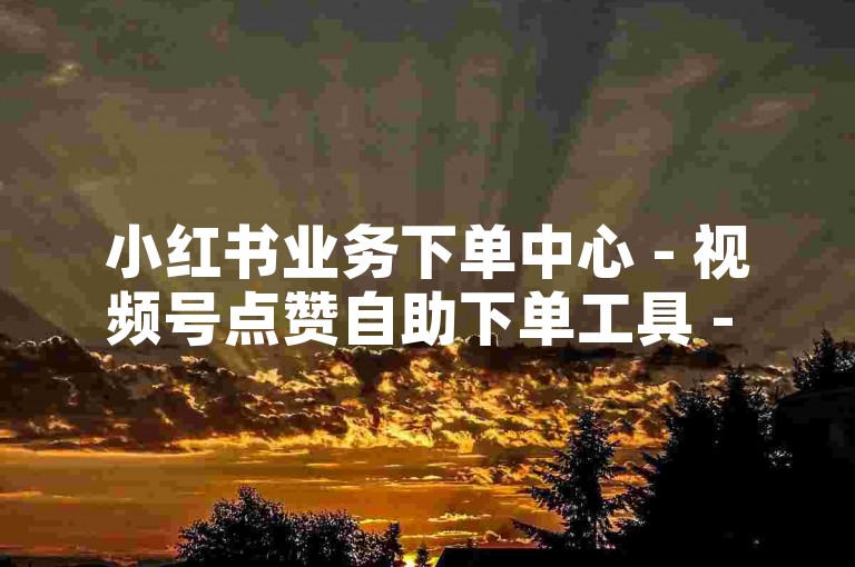 小红书业务下单中心 - 视频号点赞自助下单工具 - 评论互动自定义平台24h在线
