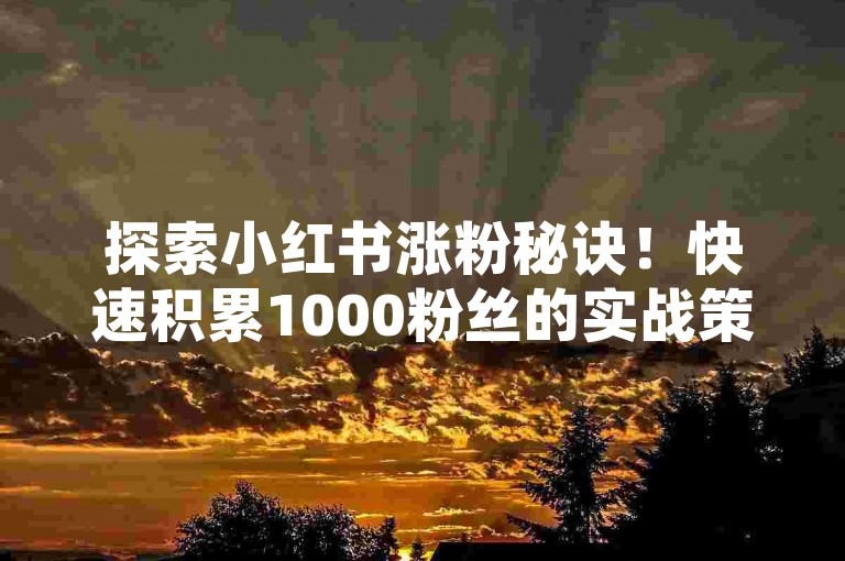 探索小红书涨粉秘诀！快速积累1000粉丝的实战策略，助你在社交圈崭露头角，马上行动开启吸粉征程-