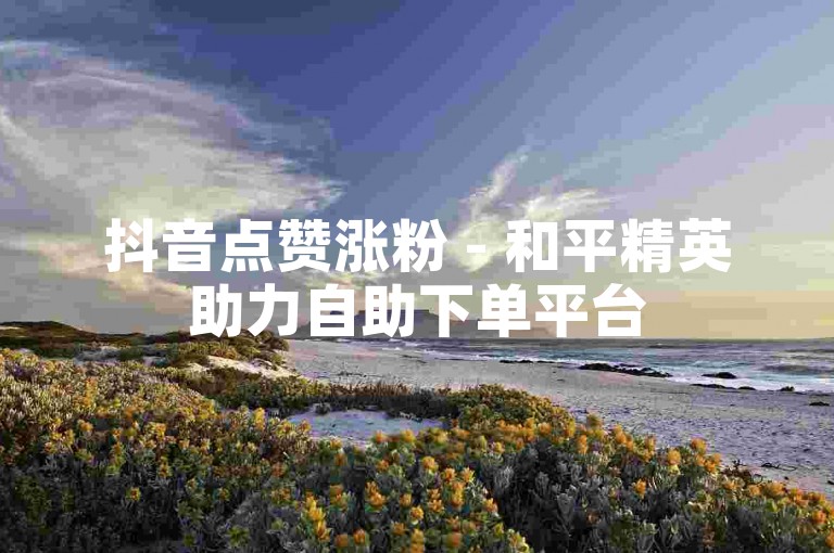 抖音点赞涨粉 - 和平精英助力自助下单平台