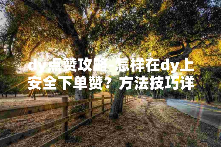 dy点赞攻略-怎样在dy上安全下单赞？方法技巧详解