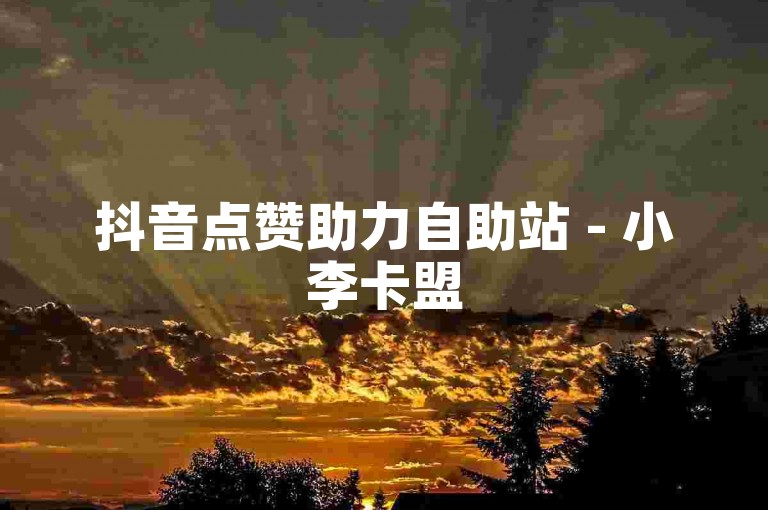 抖音点赞助力自助站 - 小李卡盟