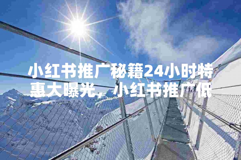 小红书推广秘籍24小时特惠大曝光，小红书推广低价狂欢！！2024必备