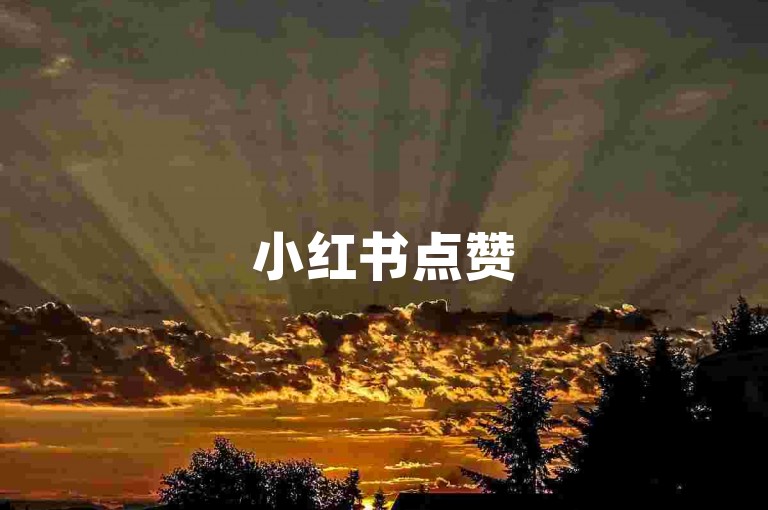 小红书点赞500单业务-小红书点赞500单需多少费用