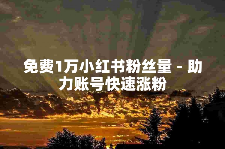 免费1万小红书粉丝量 - 助力账号快速涨粉