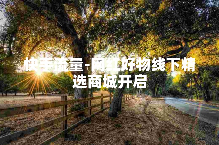 快手流量-网红好物线下精选商城开启