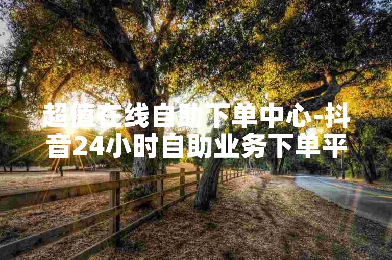 超值在线自助下单中心-抖音24小时自助业务下单平台