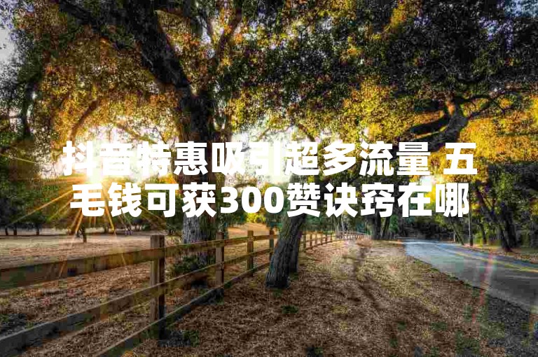抖音特惠吸引超多流量 五毛钱可获300赞诀窍在哪 速来知晓！