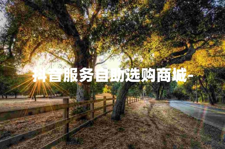 抖音服务自助选购商城-