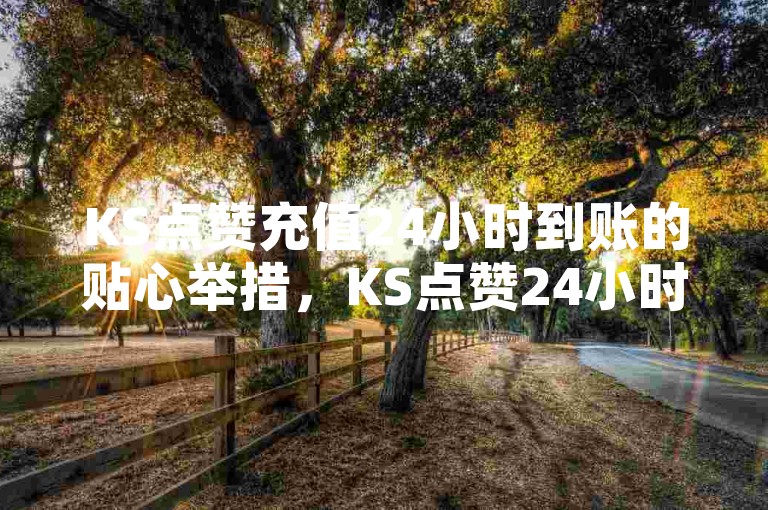 KS点赞充值24小时到账的贴心举措，KS点赞24小时充值速到账，省心又高效！新手福音！