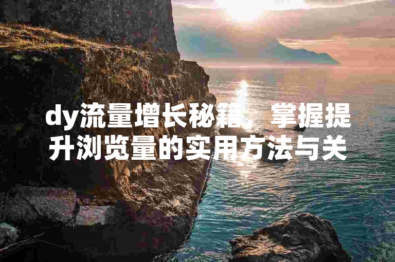 dy流量增长秘籍,掌握提升浏览量的实用方法与关键技巧?