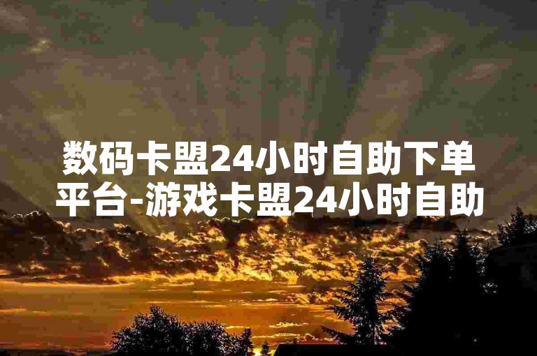 数码卡盟24小时自助下单平台-游戏卡盟24小时自助下单平台