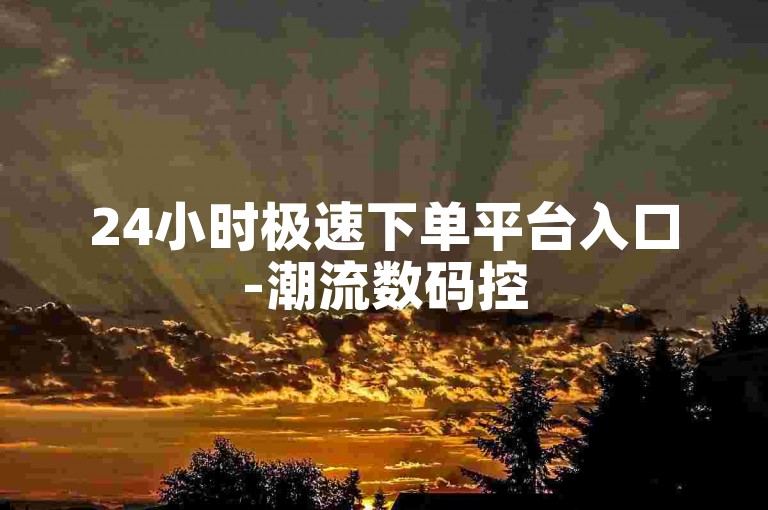 24小时极速下单平台入口-潮流数码控