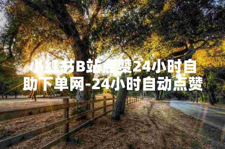 小红书B站点赞24小时自助下单网-24小时自动点赞购物平台！